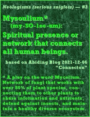Neologism (serious sniglet) #3 -- Mysoulium* (my-SO-lee-um): Spiritual presence or network that connects all human beings.  *A play on the word Mycelium: Network of fungi that works with over 80% of plant species, connecting them to other plants to share information and nutrients, defend against insects, and maintain a healthy diverse ecosystem. #Sniglet #Connection #AbidingBlog2021Connection